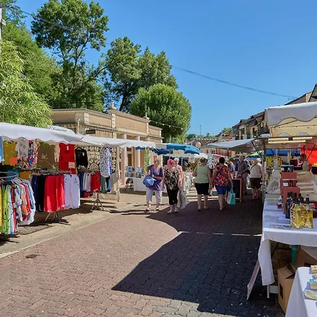 Apartment T2 Calme Proche Thermes Avec Wifi Et Parking, Animaux Admis - Fr-1-841-56 *